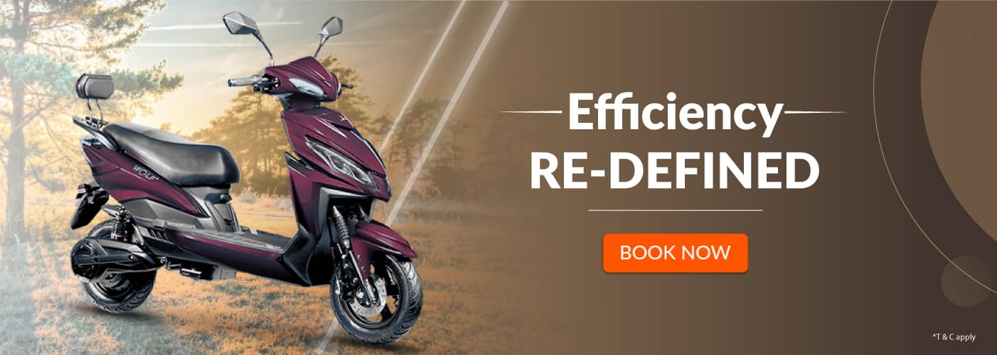 Buy Joy E Bikes Online at Best Price Bajaj Mall