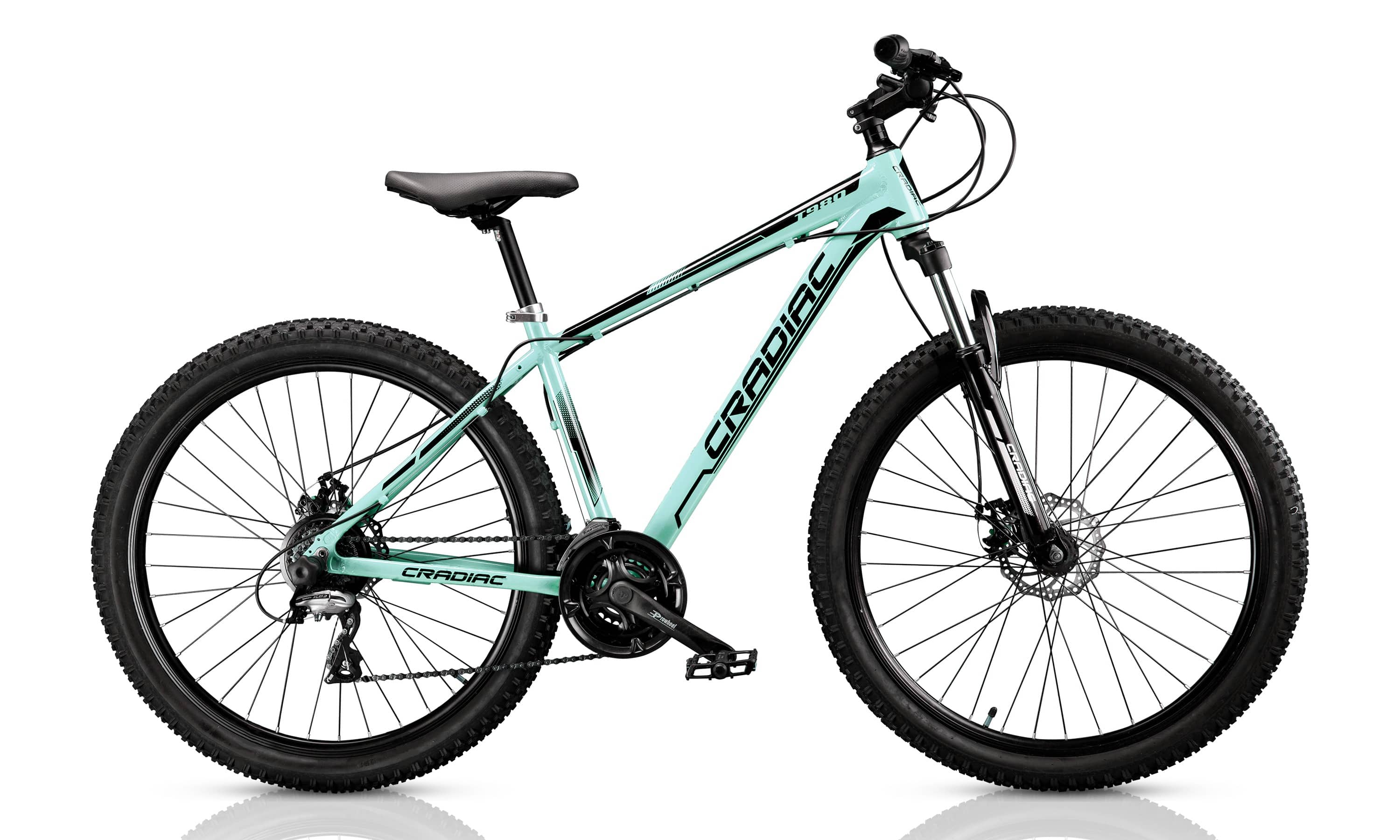 17.5 inch store frame bike