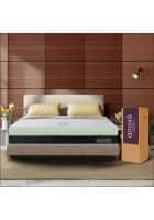 Amore Active Green Tea Queen Orthopedic Memory Foam Mattress (72x66x5 Inches)