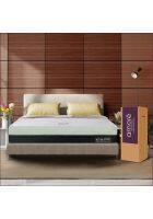 Amore Active Green Tea Queen Orthopedic Memory Foam Mattress (75x66x8 Inches)