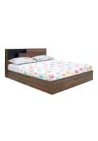 @home by Nilkamal Bolivia Solid Wood Queen Bed With Headboard And Hydraulic Storage (Wenge)
