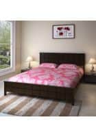 @home by Nilkamal Cipher Queen Bed without Storage (Espresso)
