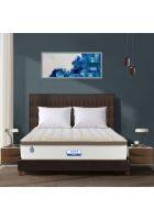 Amore Hybrid 8 inch Eurotop Queen Size Pocket Spring Mattress (Multicolor, 78 x 66 inch)