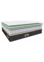 Centuary Sleepables 8 Inch Gel Foam King Size Pocket Spring Mattress (Multicolor, 72 x 72 Inch)