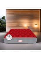 Coirfit Luxurino Pillow Top 6 inch King Bonnell Spring Mattress (Red, 72 x 72 inch)