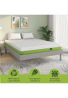 Doctor Dreams by Nilkamal ECOAIR™ 100% Natural Latex Foam 6 Inch Mattress, Cool Tencel Fabric, Ideal Softness-to-Support Ratio (Queen, 72x60x6)