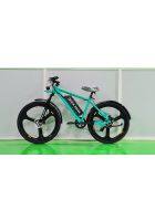 Epick N-100 Front Disc Brake Pedal Assist Electric Bicycle (Aqua Green)