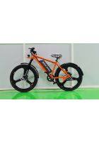 Epick N-100 Front Disc Brake Pedal Assist Electric Bicycle (Orange)