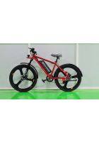Epick N-100 Front Disc Brake Pedal Assist Electric Bicycle (Red)