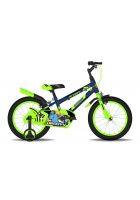 GANG GROOVY 16T (Frame 8 inches) Single Speed Kids Bike with Support Wheel & Chain Cover (Blue, Green)