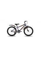 GANG GROOVY 20T (Frame 11 inches) Non-Suspension V-Brake Single Speed Kids Bike (Silver, Orange)