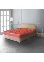 Hypnos Caspio Ortho 6 inch Medium Firm Single Size Bonnell Spring Mattress Maroon (72x42x06)