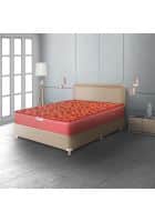 Hypnos Caspio Ortho 8 inch Medium Firm Double Size Bonnell Spring Mattress Maroon (75x48x08)