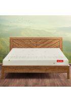 Duroflex Kaya 6 inch Organic Cotton Fabric Single Size Latex Foam Mattress (Green, 72 x 30 inch)