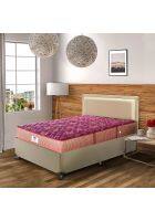 Peps Springkoil Bonnell Double Size Spring Mattress Maroon 2 Pillows (75 x 66 x 8)
