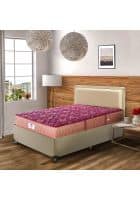 Peps Springkoil Bonnell Double Size Spring Mattress Maroon 2 Pillows (80 x 66 x 10)