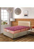 Peps Springkoil Bonnell Pillow Double Size Spring Mattress Maroon 2 Pillows (72 x 66 x 10)