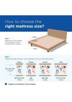 Peps 8 inch Zenimo Double Size Pillow Top Spring Mattress PEPSZENPKPTDB (Blue, 72 x 48 inch)