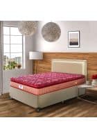 Peps 10 inch Springkoil Double Size Pillow Top Spring Mattress SKBNPTMR (Maroon, 75 x 48 inch)