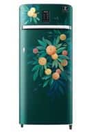 Samsung 215 L 4 Star Direct Cool Single Door Refrigerator Midnight Blossom Green (RR23C2E24NL/HL)