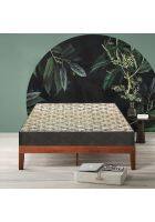 Sleep Spa Memory Foam 6 inch Single Latex Foam Mattress (72 x 36 inch)