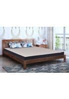 Springtek Amaze Pure Solid Wood King Bed (Finish Color - Teak)