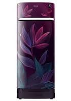 Samsung 225 L 5 Star Direct Cool Single Door Refrigerator Paradise Bloom Purple (RR23A2H3W9R/HL)