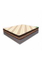 Sleepfresh Memocure 5 inch Rebonded Foam Single Size Orthopaedic Mattress (Assorted, 75 x 36 inch)