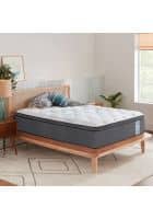 Springtek Euro Top Hybrid Latex 10 inch Double Pocket Spring Mattress 75x48 inch