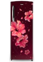 Whirlpool 200 L 3 Star Manual Single Door Refrigerator Wine Hibiscus (215 IMPC PRM 3S WINE HIBISCUS)
