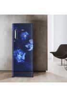 Whirlpool 190 L 3 Star Direct Cool Single Door Refrigerator Sapphire Magnolia (205 IMPC ROY 3S)