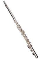 Yamaha YFL-222 Intermediate Flute for Student (Silver, International Version)