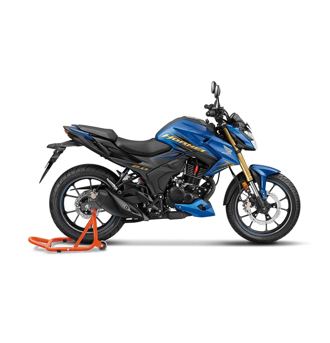 Bike store hornet bike