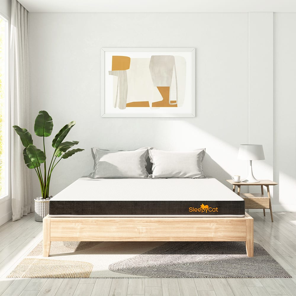 Sleepycat mattress shop near me deals